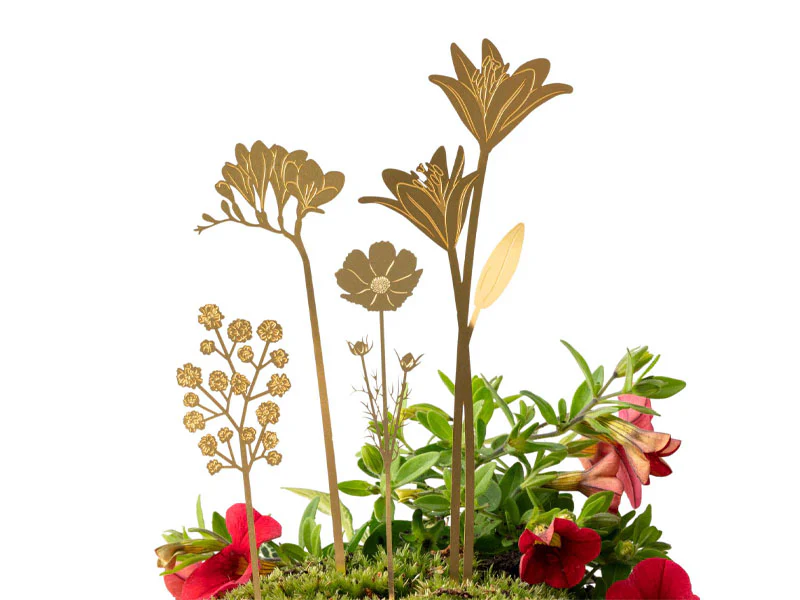 Miniature 1