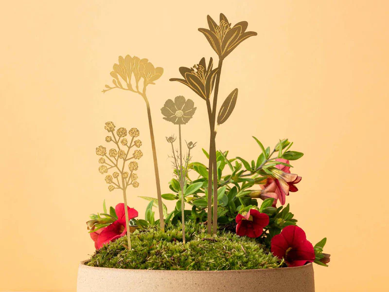 Miniature 2