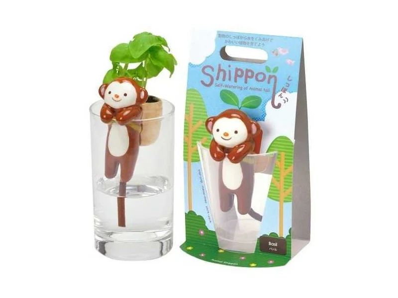 Image du produit 5